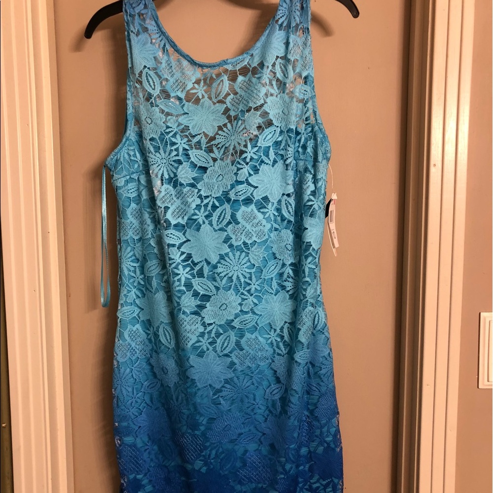 Sandra Darron dress